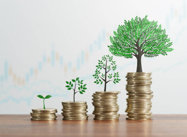 The Power of Compound Interest: Your Money's Best Friend