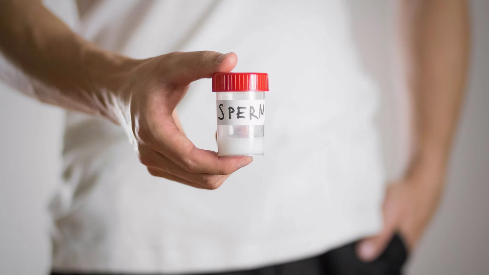 Understanding sperm donation: A comprehensive guide