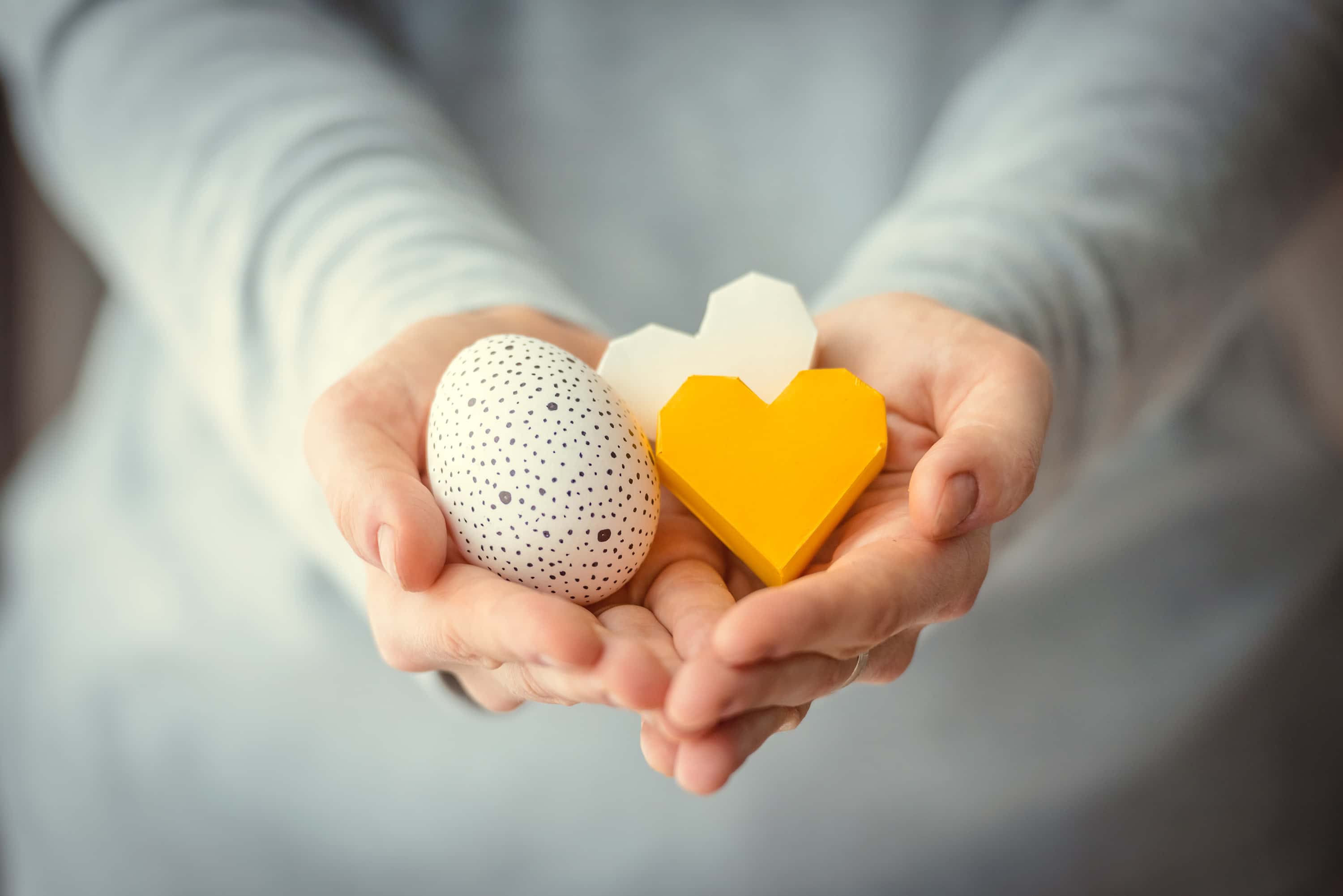 Understanding egg donation: A comprehensive guide