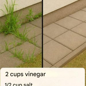 The Homemade Herbicide That Actually Works (Science-Backed, Budget-Friendly, and Gentle on Your Garden)