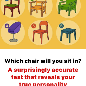 Which chair would you choose to sit in? Discover what that says about your personality