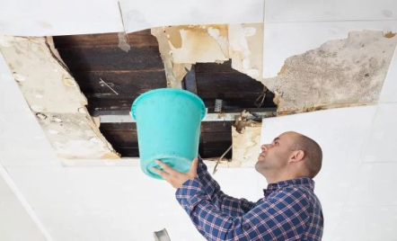 Comprehensive Guide to Preventing and Fixing Water Leaks in Your Home