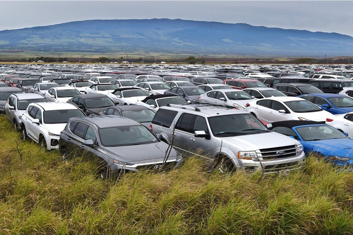 Strategies for Dealers and Manufacturers to Address Unsold SUVs and Maximize Resources